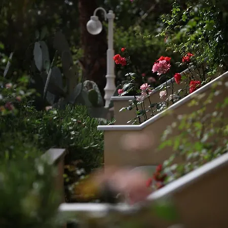 Destina Отель 3*