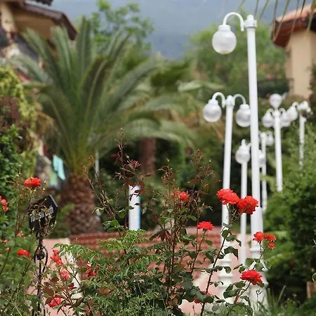 Destina 3* 厄吕代尼兹